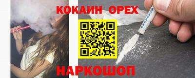стаф Гатчина