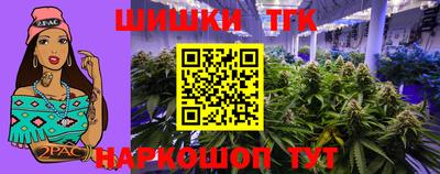 прущие грибы Бийск