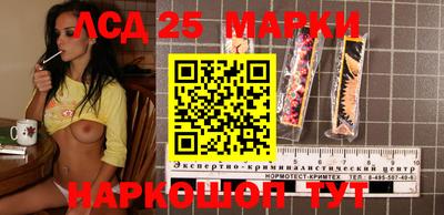 стаф Гатчина