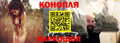 стаф Гатчина