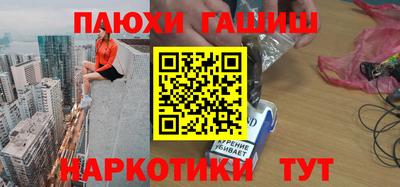 стаф Гатчина