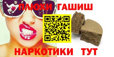 стаф Гатчина