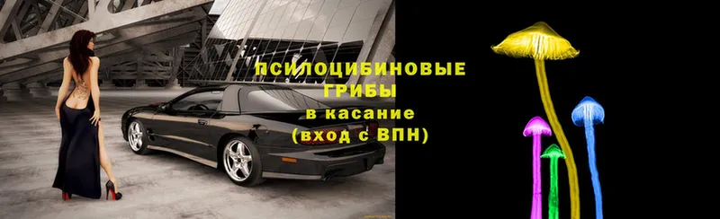 Псилоцибиновые грибы ЛСД  купить закладку  Кыштым 