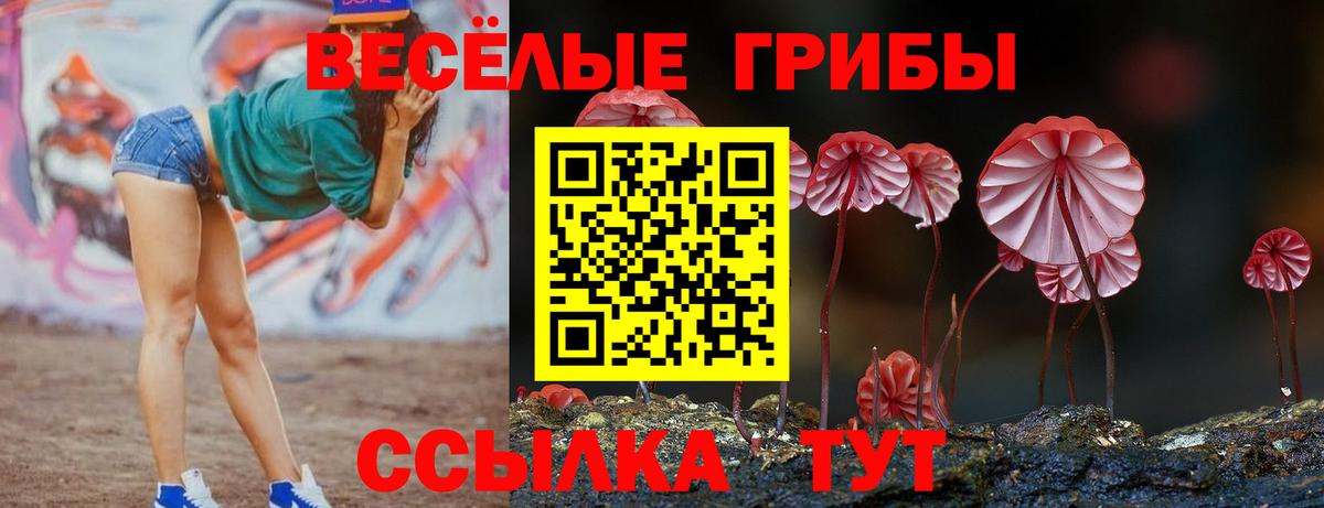 Кыштым  Галлюциногенные грибы мицелий  купить закладку  Псилоцибиновые грибы мицелий  Вход с VPN 