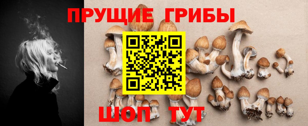 Галлюциногенные грибы прущие грибы  Кыштым 